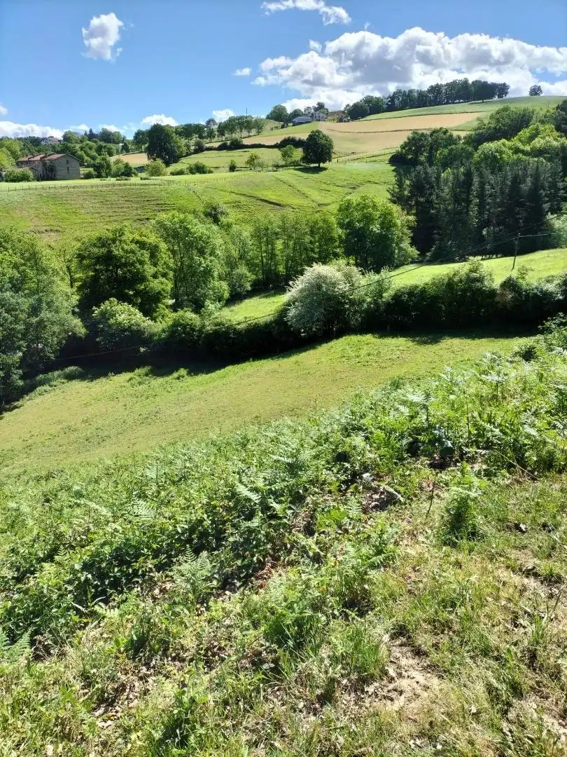 Grundstücke zum Verkauf in Idiazabal