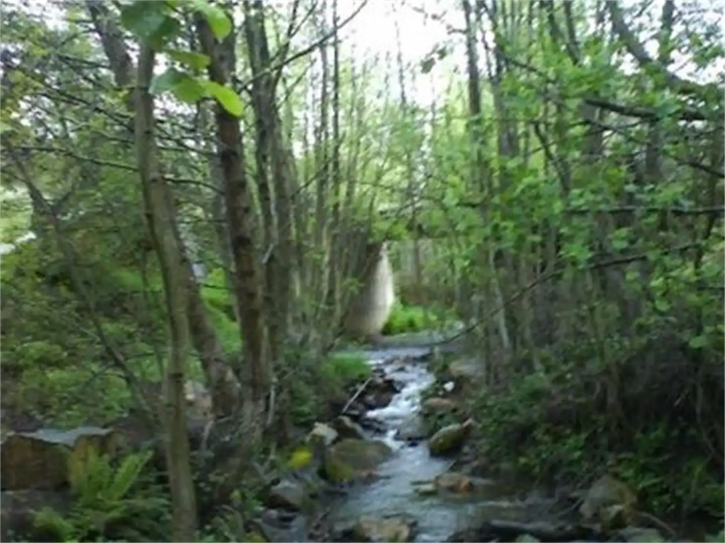 Vista exterior de Finca rústica en venda en Navezuelas amb Calefacció, Jardí privat i Piscina