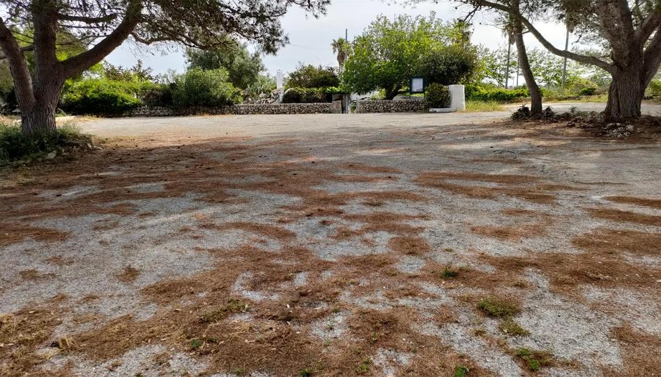 Premises to rent in Diseminado Restaurant el Gallo, 70, Ferreries poble, Illes Balears - image 1 Photo 1 of Premises to rent in Diseminado Restaurant el Gallo, 70, Ferreries poble, Illes Balears