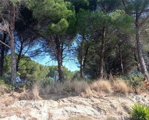 Grundstücke zum verkauf in Canet de Mar