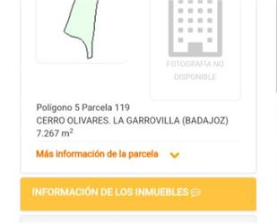 Parking of Land for sale in La Garrovilla 