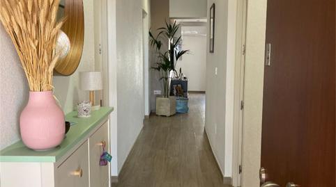 Photo 3 of House or chalet for sale in Barrio Cañada Praez, 74, Pilar de la Horadada ciudad, Alicante