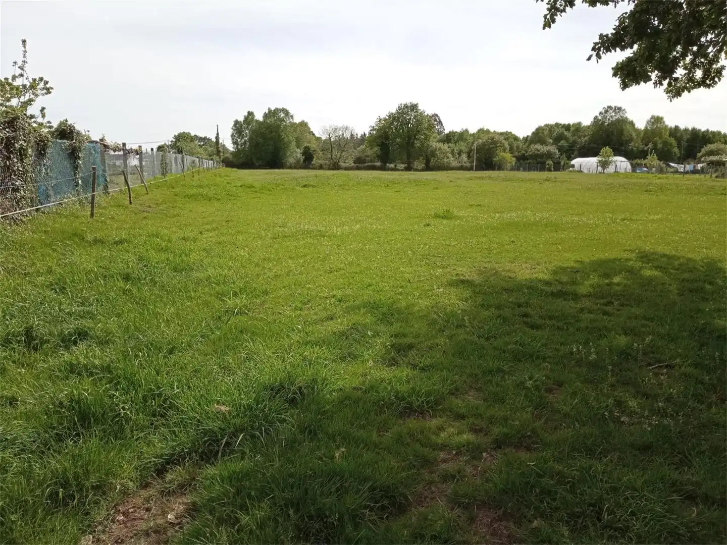 Constructible Land for sale in Aranga