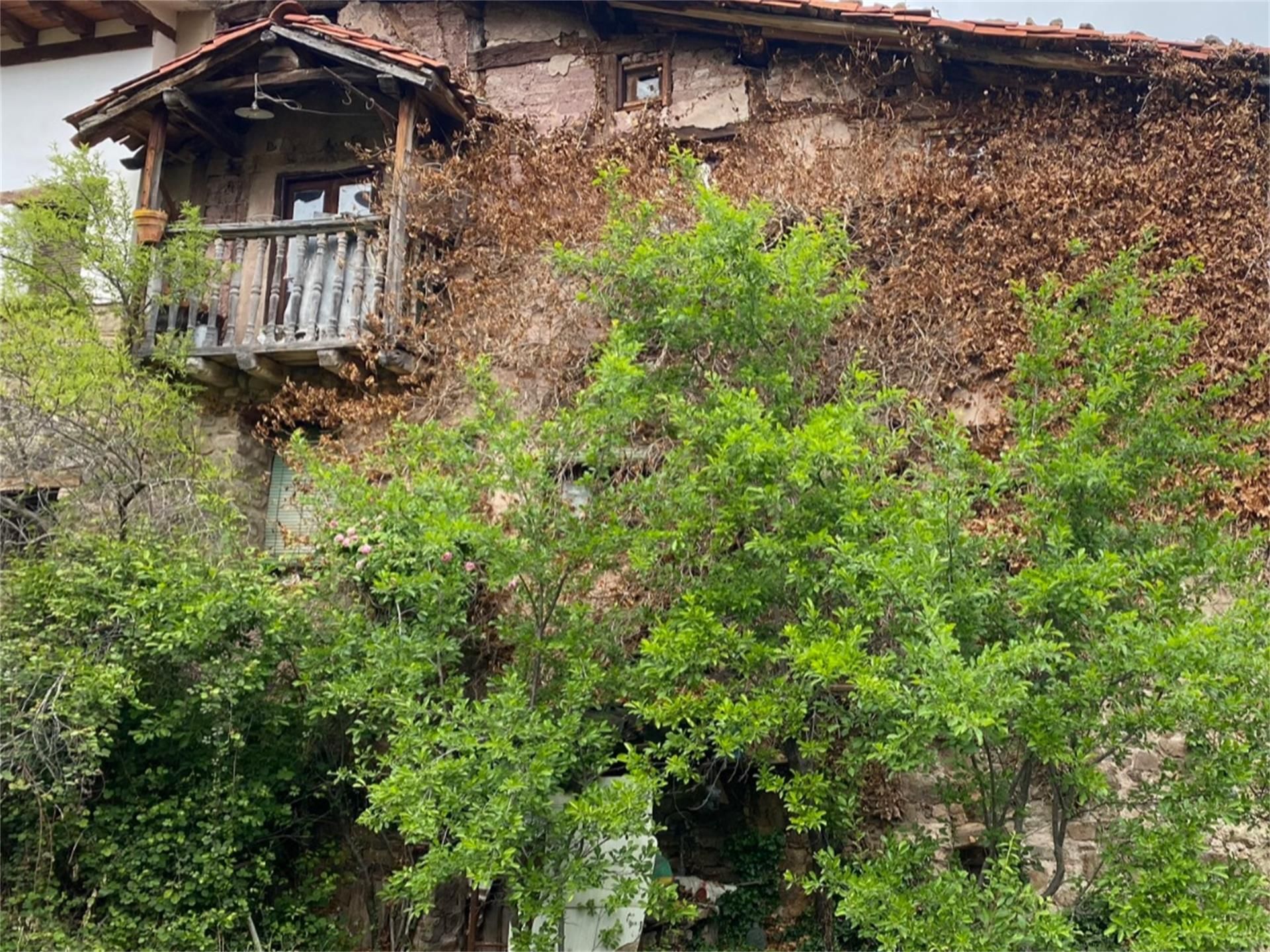 Vista exterior de Finca rústica en venda en Rabanera