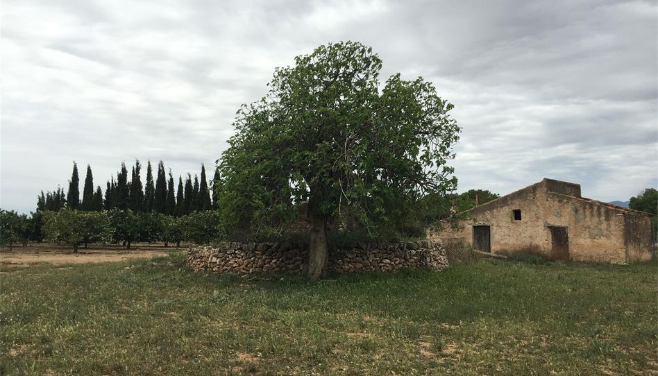 Terreno en venta en Godall, Tarragona - imagen 1 Foto 1 de Terreno en venta en Godall, Tarragona