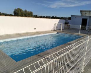 Piscina de Casa o xalet de lloguer en Chiclana de la Frontera amb Jardí privat, Terrassa i Piscina