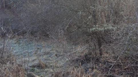 Foto 5 von Country house zum Verkauf in Calle Matueca, 6, Garrafe de Torío, León