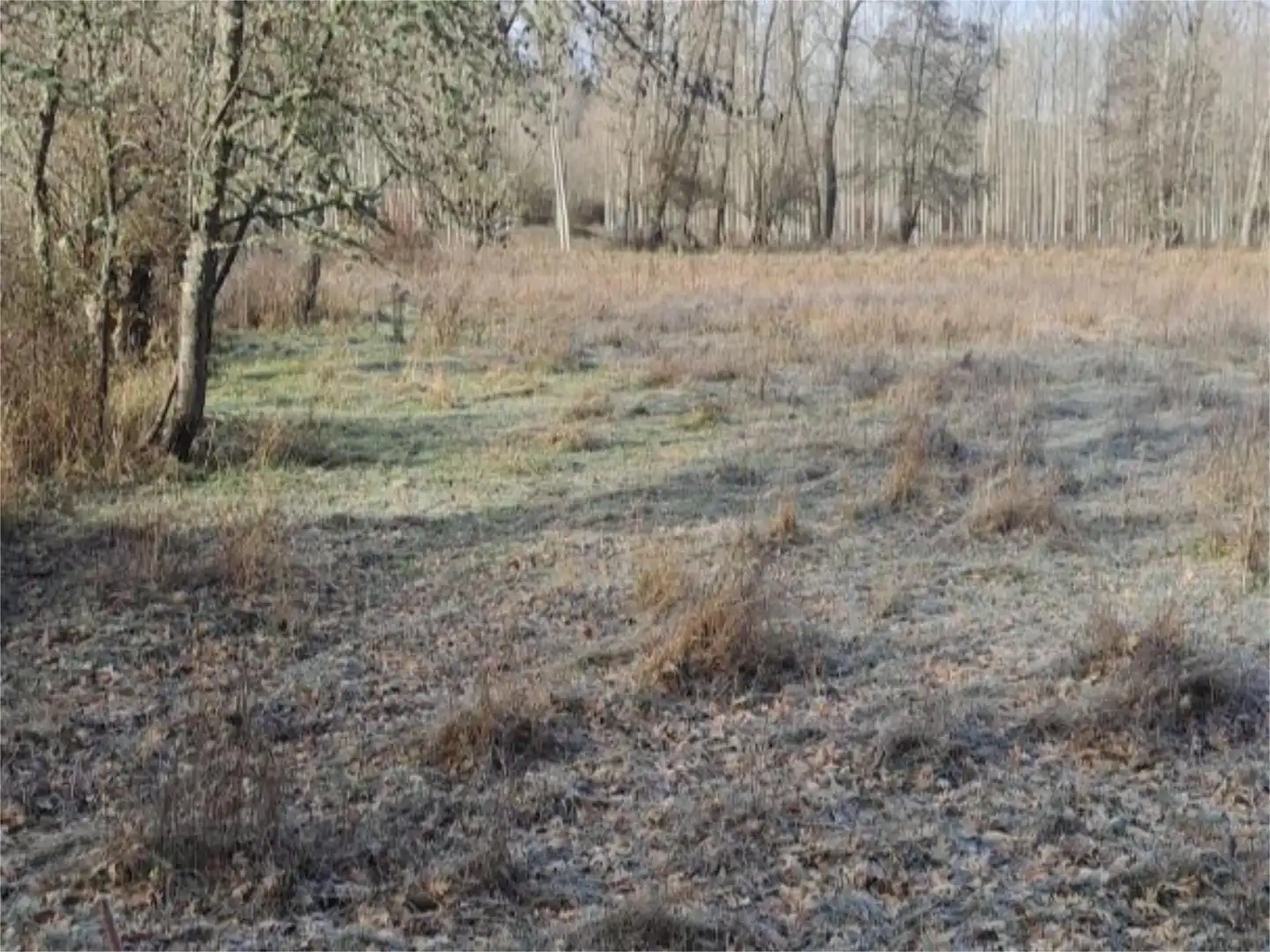 Finca rústica en venda en Garrafe de Torío