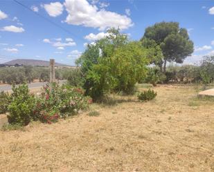 Casa o xalet en venda en Fuente de Piedra amb Aire condicionat i Balcó