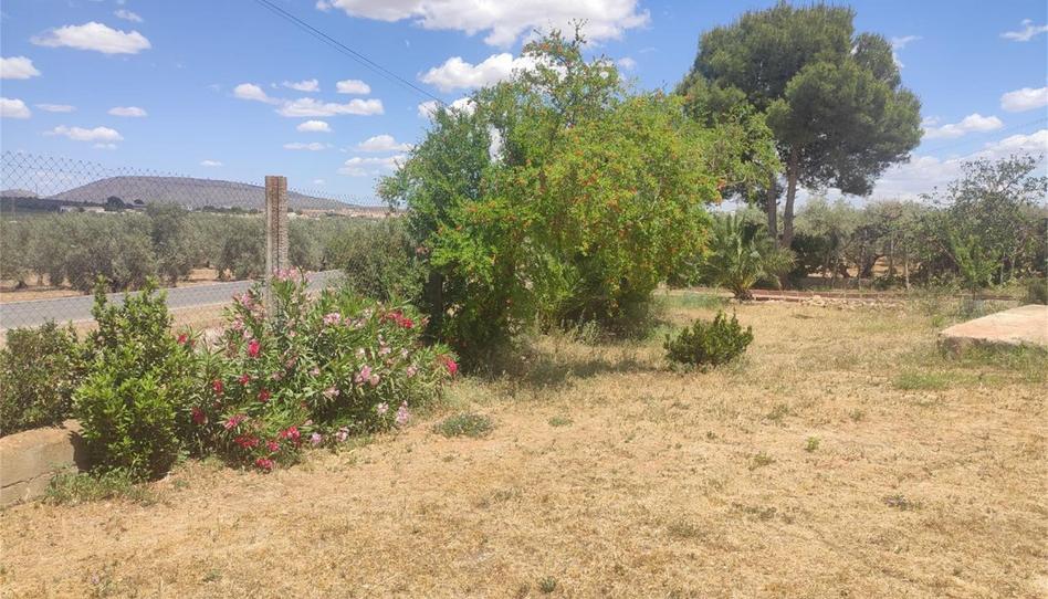 Foto 1 de Casa o xalet en venda a Fuente de Piedra, Málaga