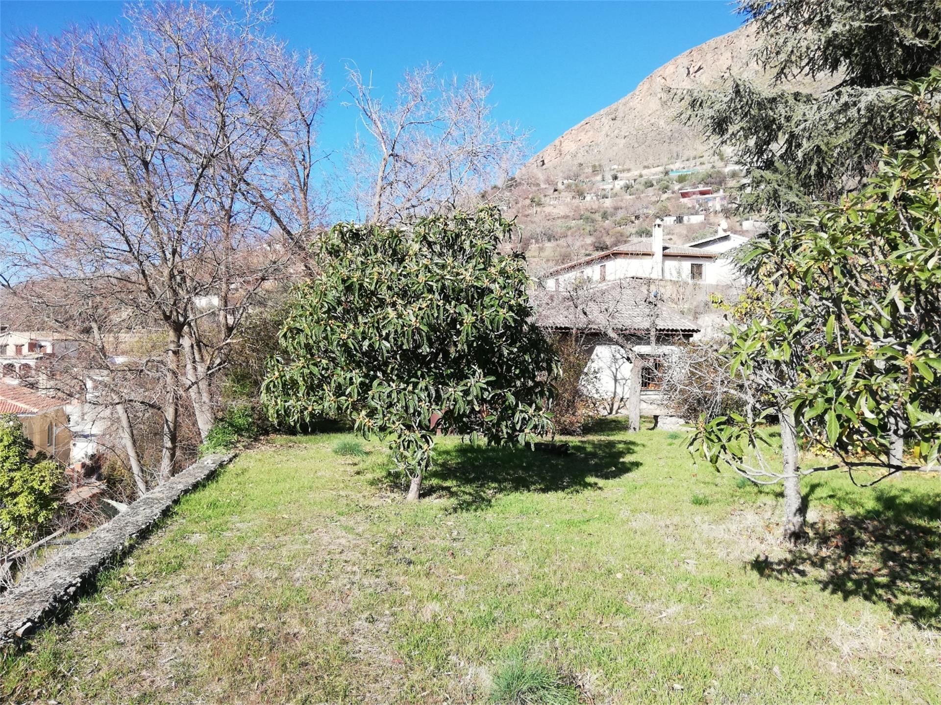 Garden of House or chalet for sale in Güéjar Sierra