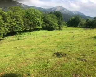 Land for sale in Llanes