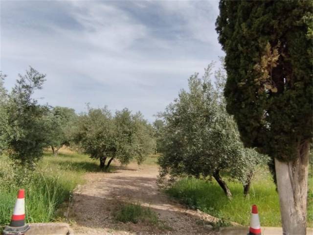 Terreno en Venta en Puente Tablas, 19 en Puente Tablas - Puente Nuevo - Cerro Molina