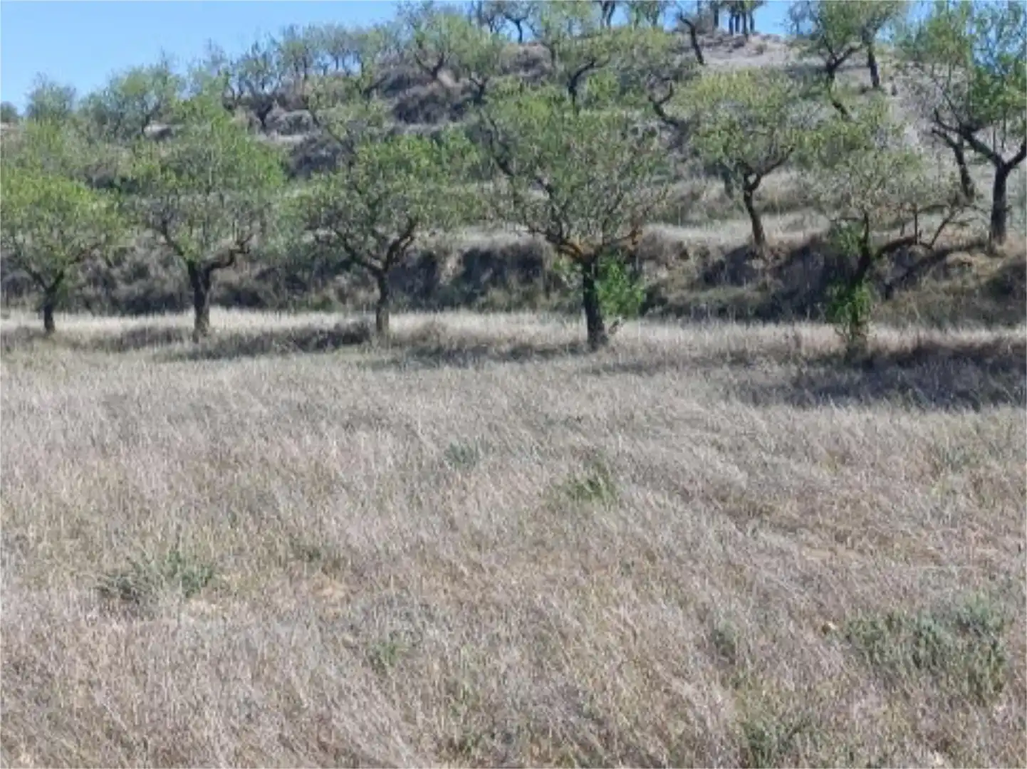 Terreno en venta en Camino el Roquez, 24, Chirivel Terreno en venta en Chirivel