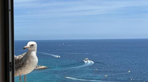 Foto 2 de Pis de lloguer a Carrer Avenida de Uruguay, 7, Playa Poniente, Alicante