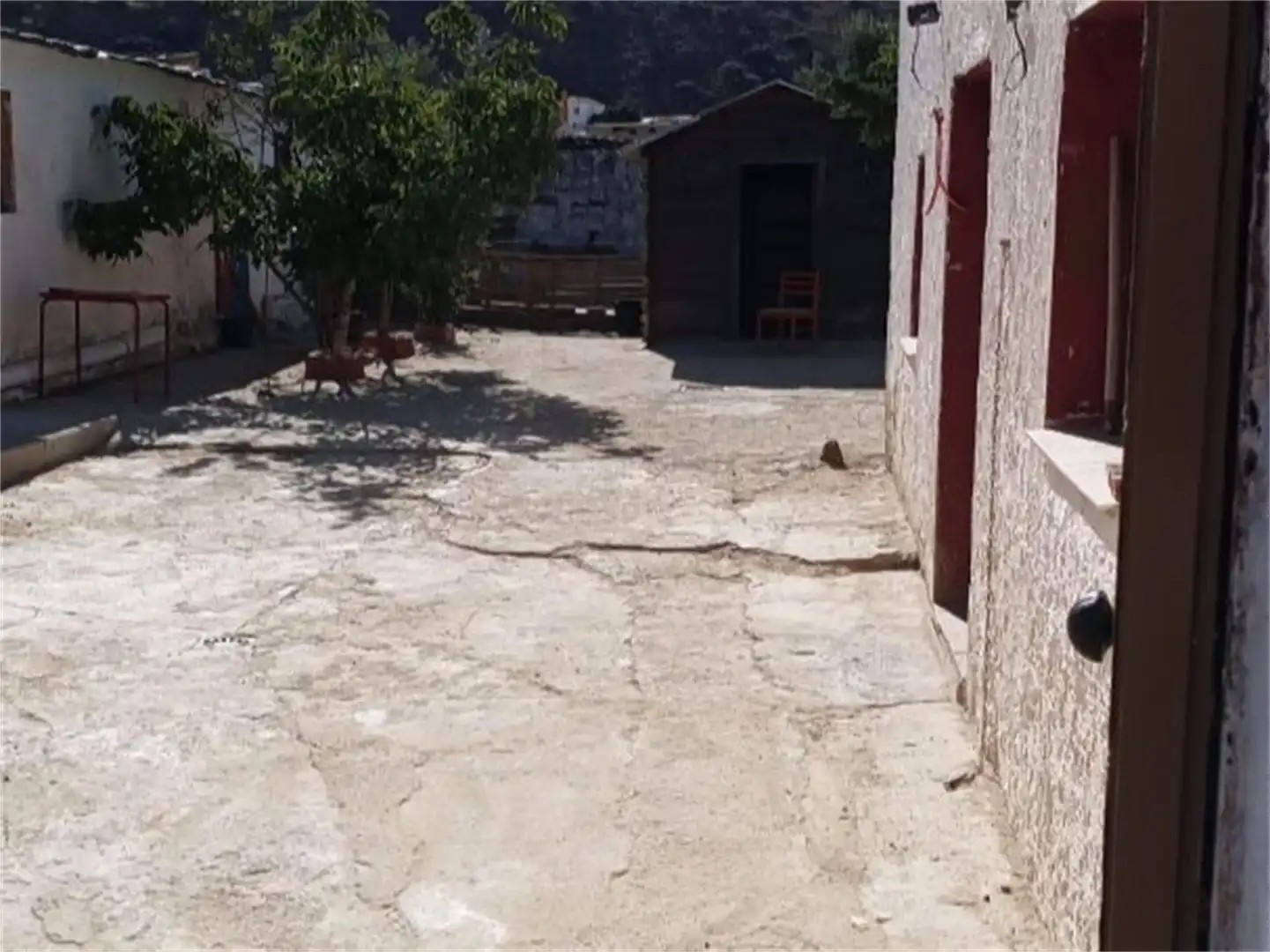 Vista exterior de Finca rústica en venda en Cañete la Real