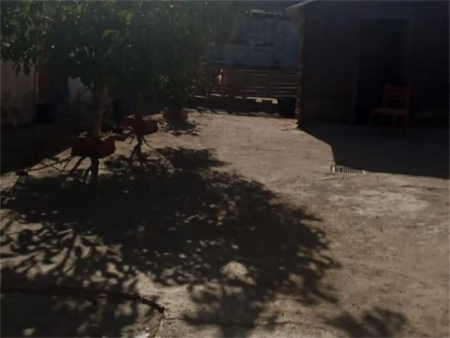Finca rústica en venda en Cañete la Real