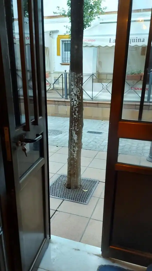 Büro zum Verkauf in Prado del Rey