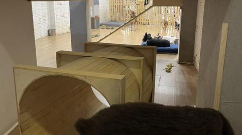 Premises to rent in Calle de Torija, 8, Palacio, Madrid - image 4 Photo 4 of Premises to rent in Calle de Torija, 8, Palacio, Madrid