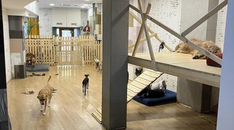 Premises to rent in Calle de Torija, 8, Palacio, Madrid - image 3 Photo 3 of Premises to rent in Calle de Torija, 8, Palacio, Madrid