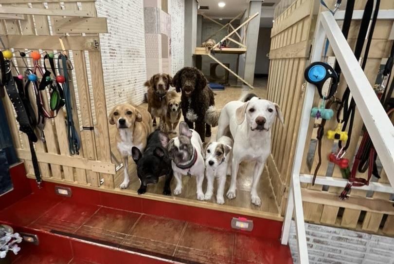 Premises to rent in Calle de Torija, 8, Palacio, Madrid - image 1 Photo 1 of Premises to rent in Calle de Torija, 8, Palacio, Madrid