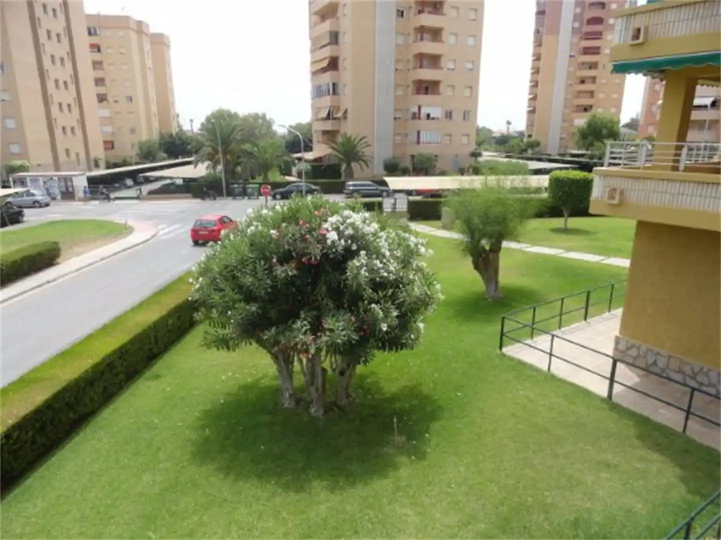 Garden of Flat for rent in Alicante / Alacant  with Private garden, Terrace and Furnished