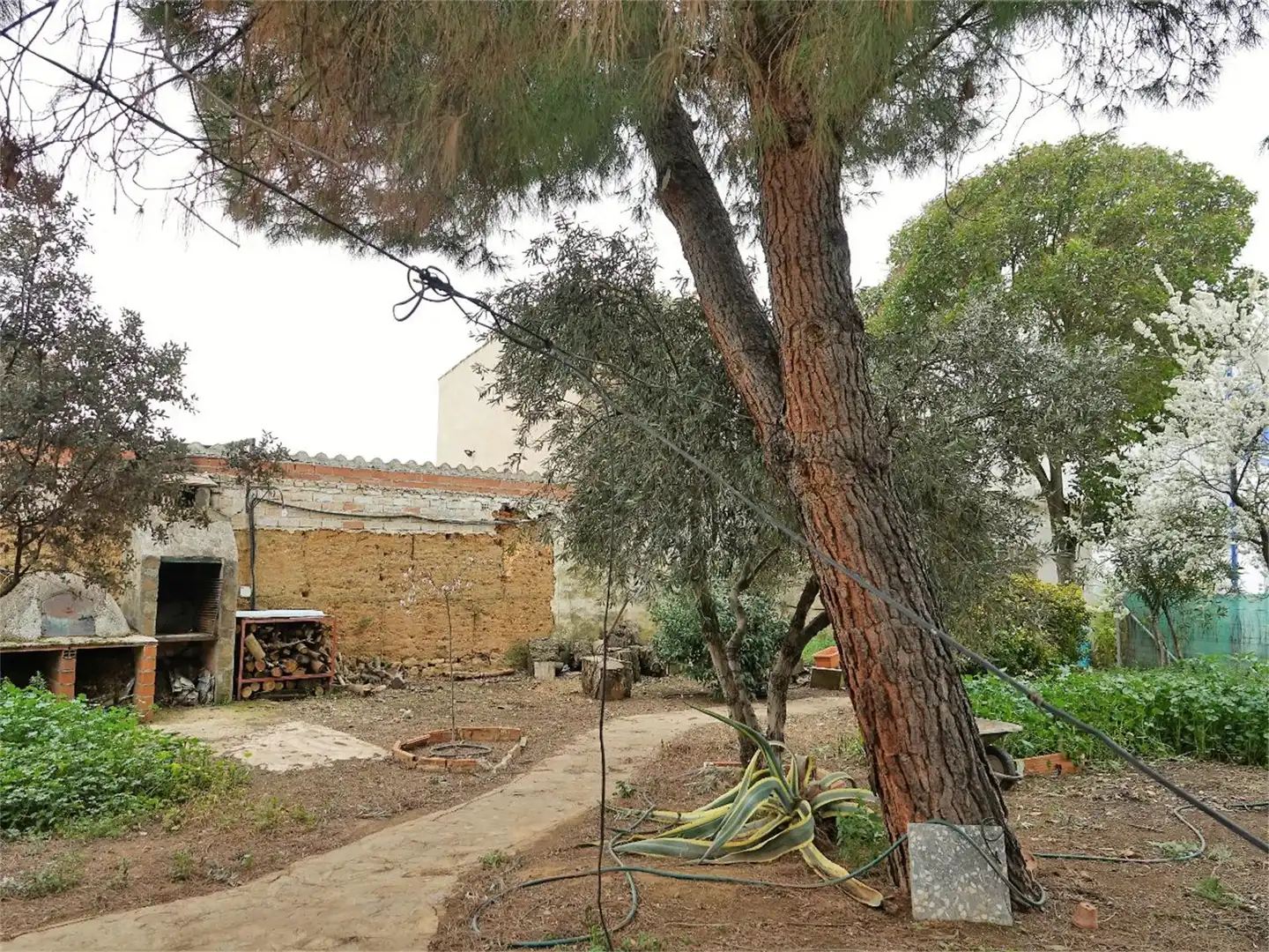 Casa o chalet en venta en Calle Santa Rosa de Lima, 41, Los Pozuelos de Calatrava Jardín de Casa o chalet en venta en Los Pozuelos de Calatrava con Aire acondicionado, Calefacción y Jardín privado
