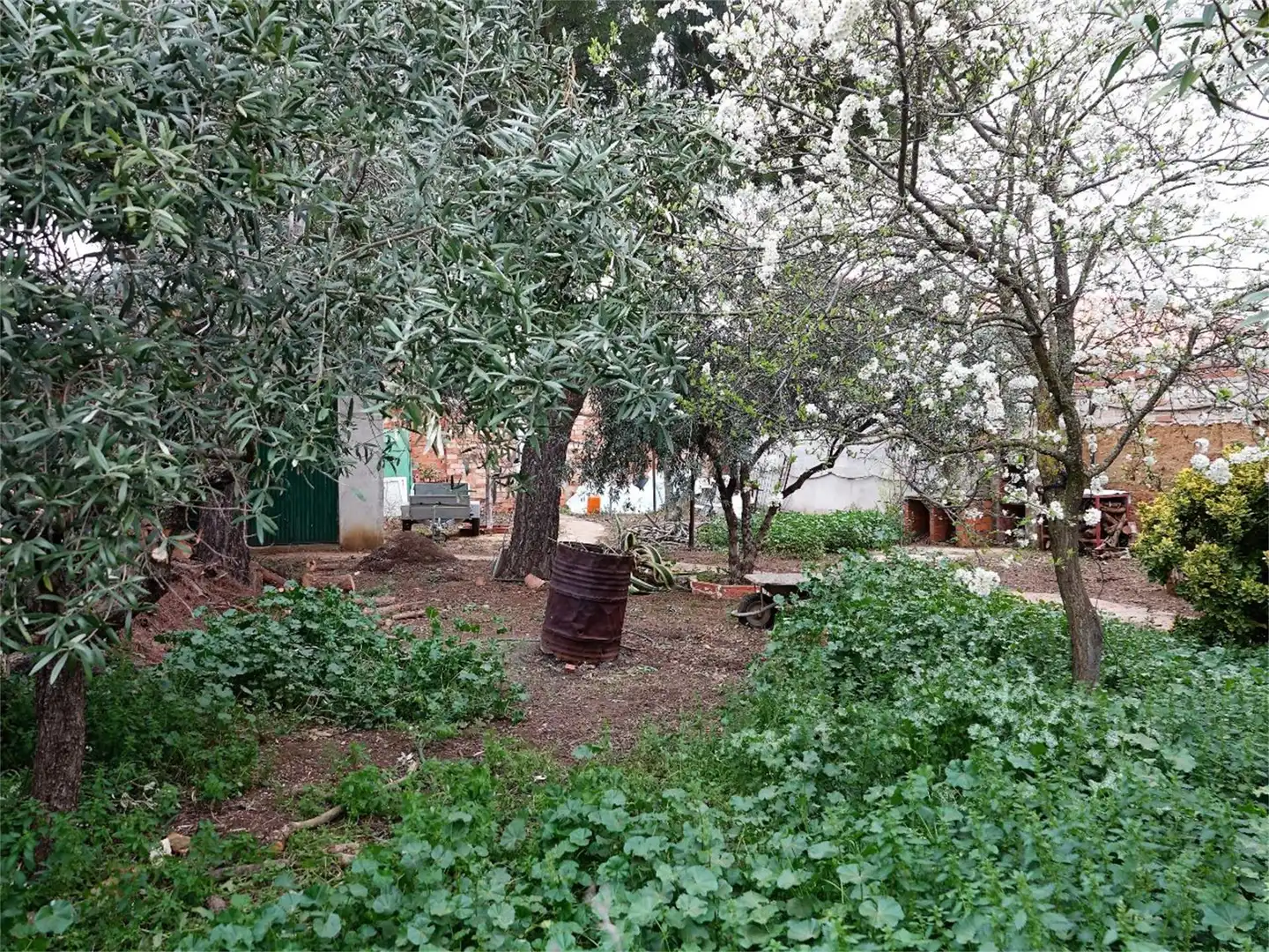 Casa o chalet en venta en Calle Santa Rosa de Lima, 41, Los Pozuelos de Calatrava Jardín de Casa o chalet en venta en Los Pozuelos de Calatrava con Aire acondicionado, Calefacción y Jardín privado