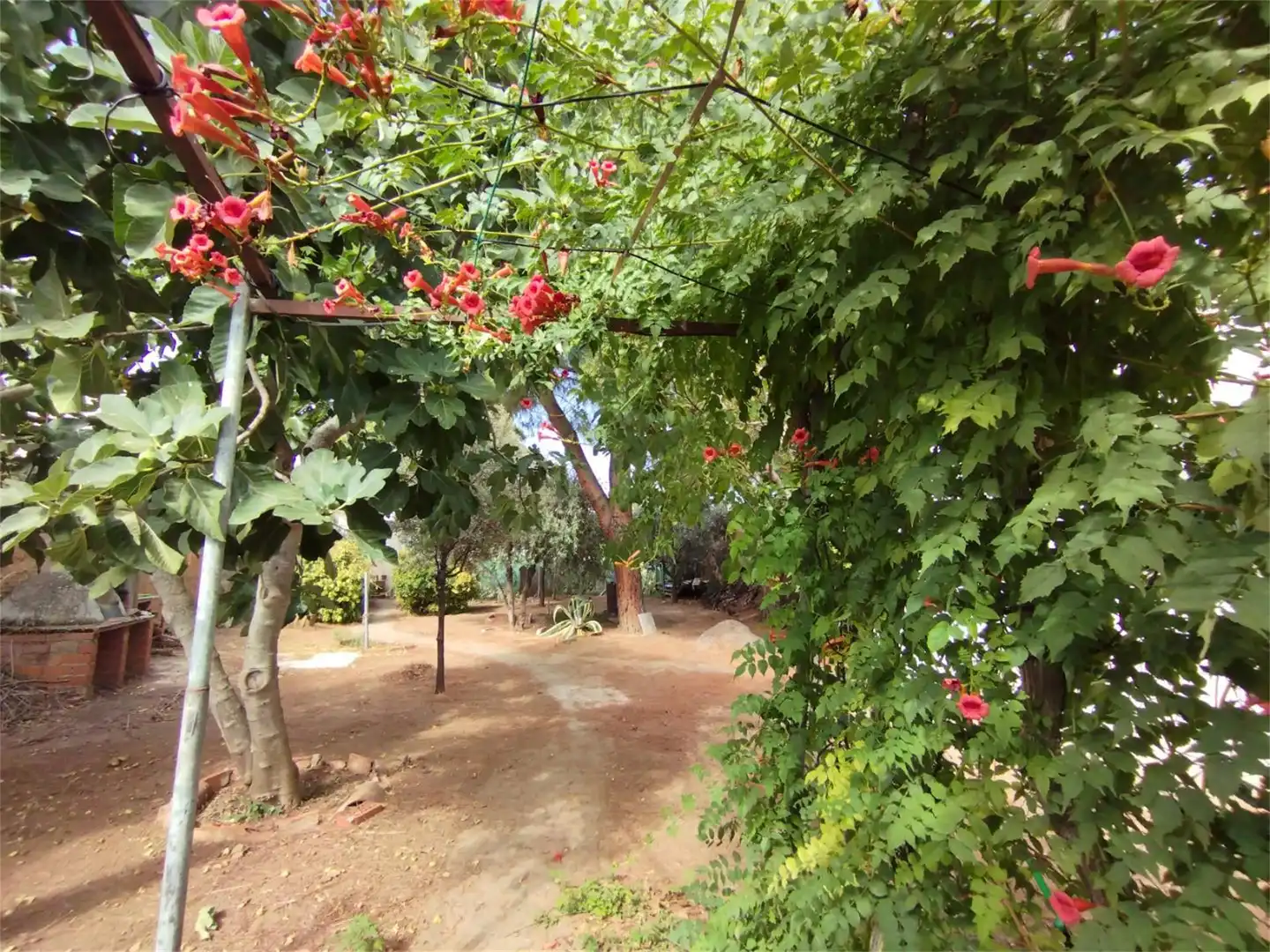 Casa o chalet en venta en Calle Santa Rosa de Lima, 41, Los Pozuelos de Calatrava Jardín de Casa o chalet en venta en Los Pozuelos de Calatrava con Aire acondicionado, Calefacción y Jardín privado