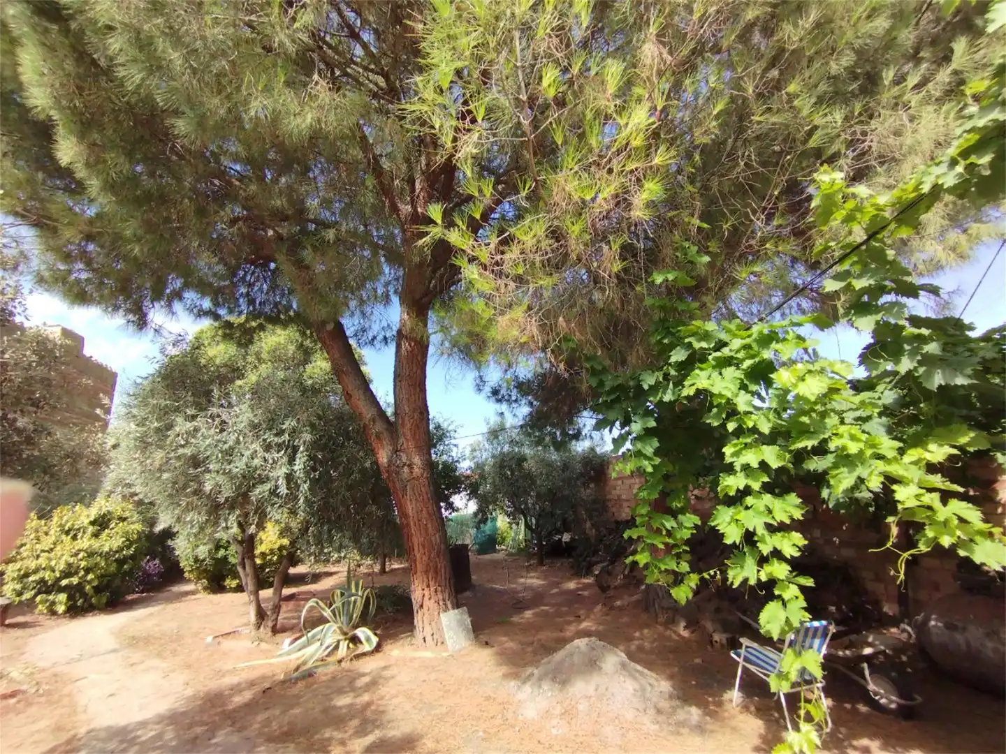 Casa o chalet en venta en Calle Santa Rosa de Lima, 41, Los Pozuelos de Calatrava Jardín de Casa o chalet en venta en Los Pozuelos de Calatrava con Aire acondicionado, Calefacción y Jardín privado
