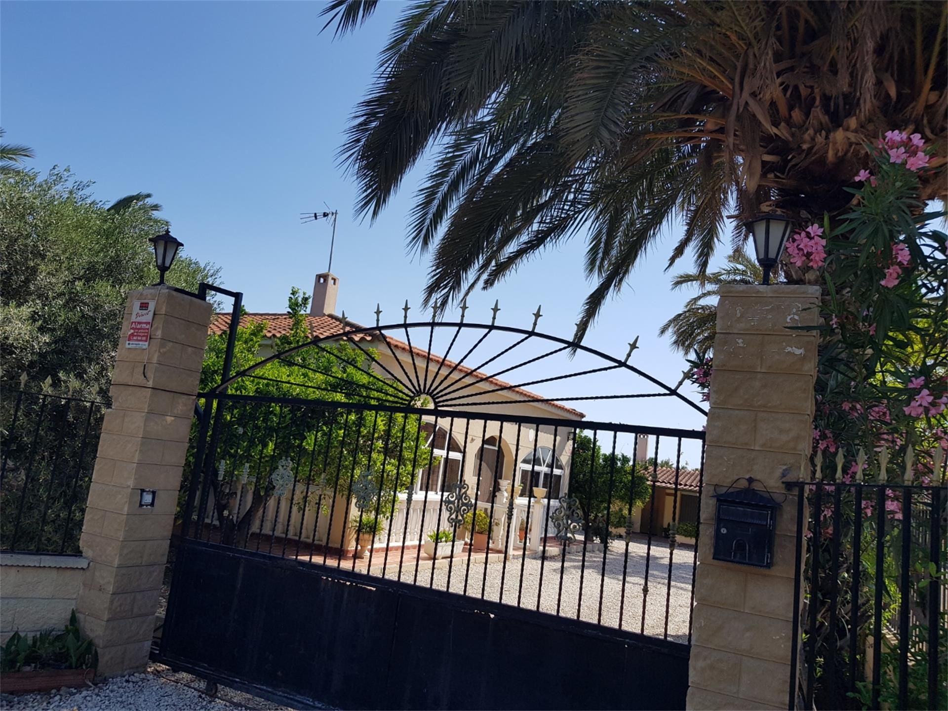 Vista exterior de Casa o xalet en venda en Elche / Elx amb Aire condicionat, Terrassa i Piscina