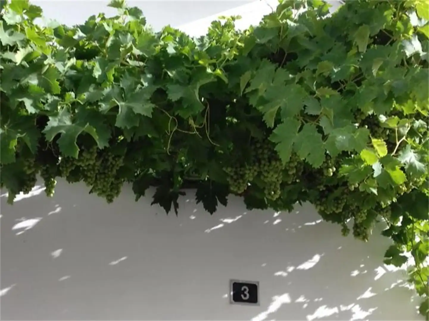 Casa o chalet en venta en Calle San Sebastian, 15, Quéntar Jardín de Casa o chalet en venta en Quéntar con Terraza