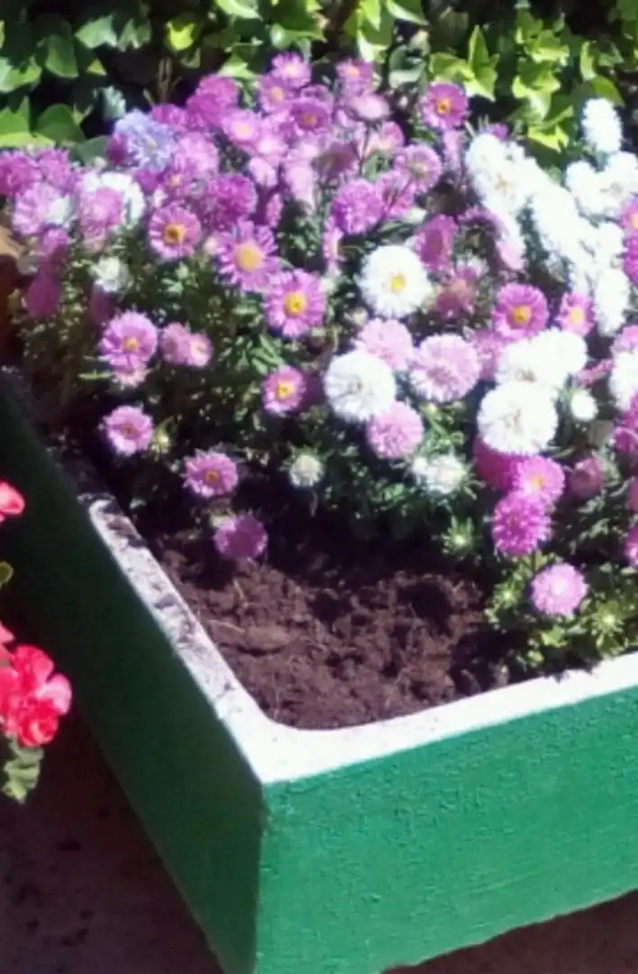 Jardín de Terreno en venta en Paracuellos de Jiloca