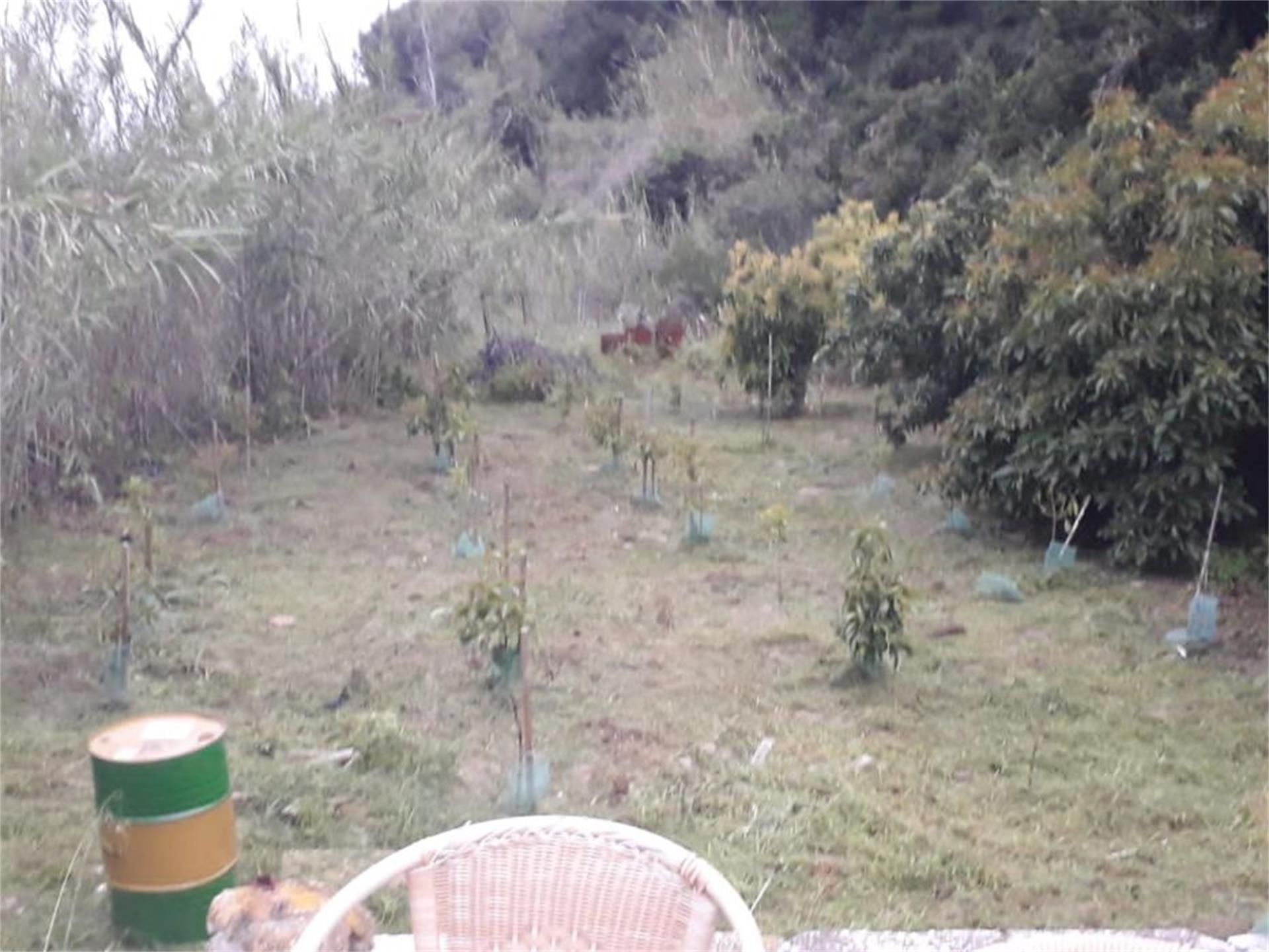 Finca rústica en venta en Frigiliana