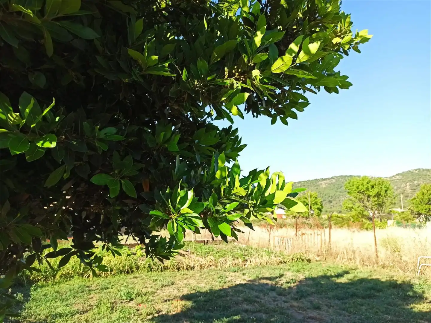 Non-constructible Land for sale in Calle Camposanto Viejo, 4, Valdemaqueda Non-constructible Land for sale in Valdemaqueda