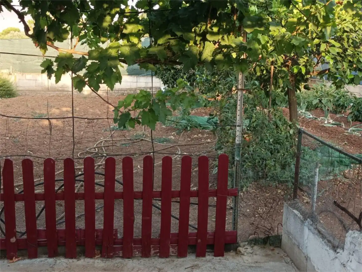 Houses for sale in Calle San Vicente, 19, El Higuerón Garden of Houses for sale in Córdoba with Air Conditioner, Heating and Private garden