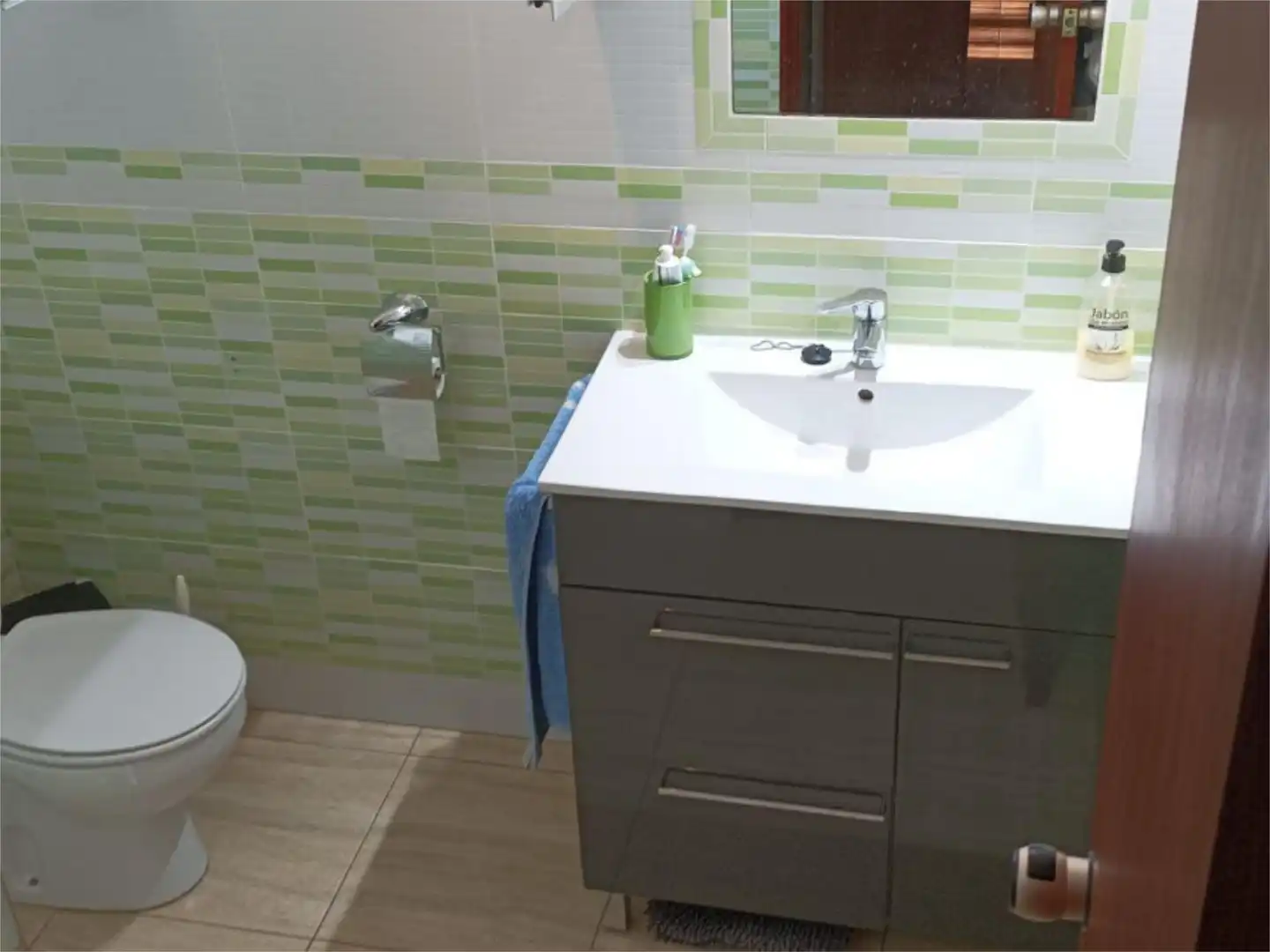 Houses for sale in Calle San Vicente, 19, El Higuerón Bathroom of Houses for sale in Córdoba with Air Conditioner, Heating and Private garden