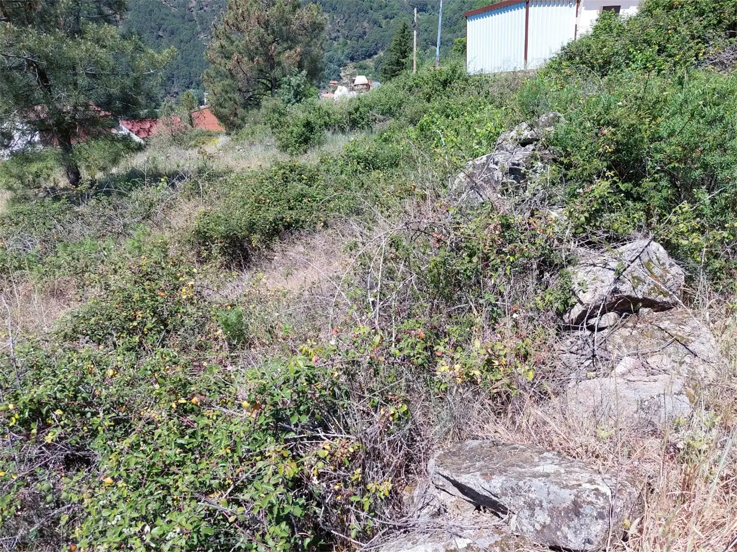 Finca rústica en venta en Mijares
