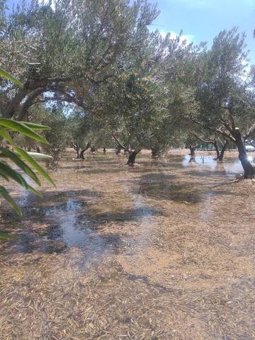 Venta de pisos de particulares en la ciudad de La Peña de las Águilas