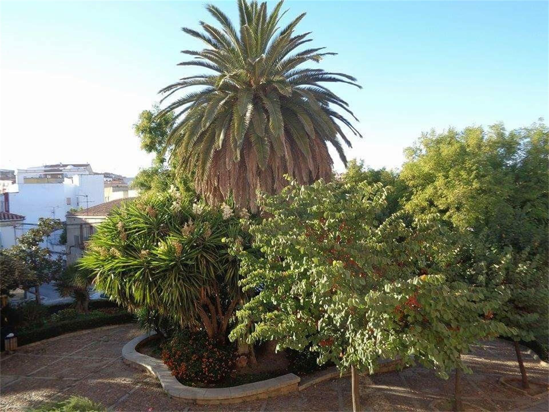 Garden of Flat for sale in Cáceres Capital  with Heating, Oven and Washing machine