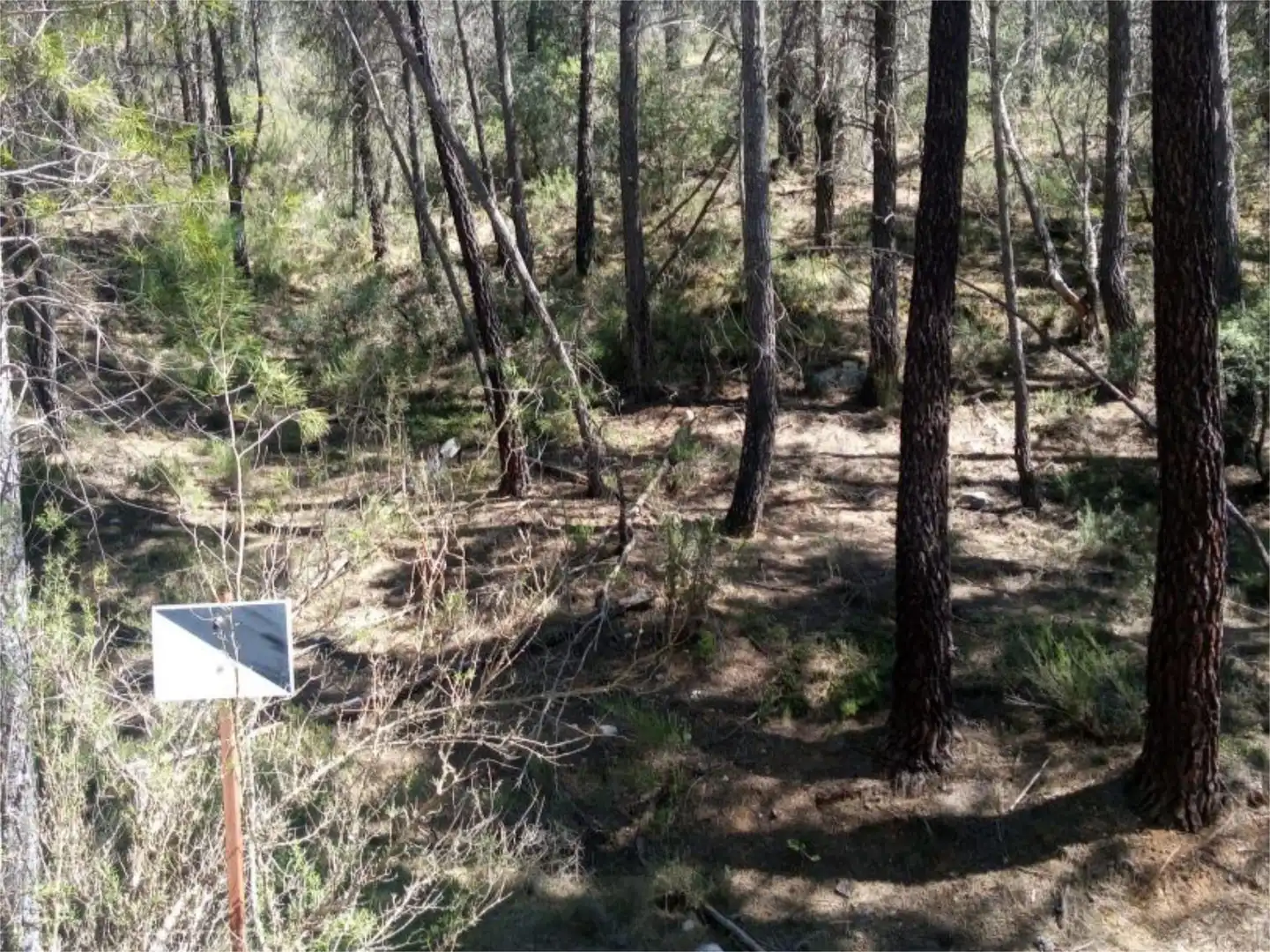 Non-constructible Land for sale in Alcantud Non-constructible Land for sale in Alcantud
