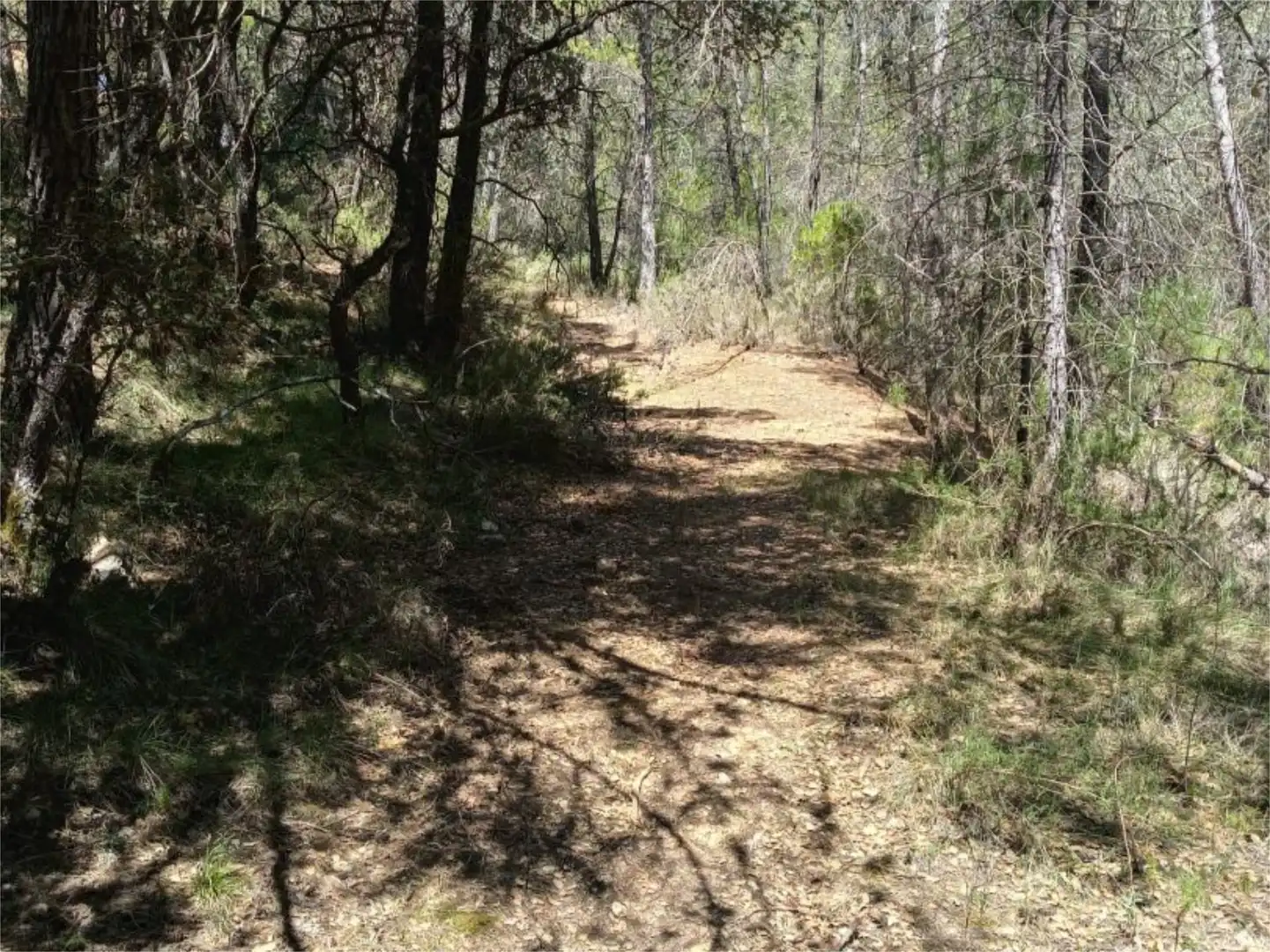Non-constructible Land for sale in Alcantud Non-constructible Land for sale in Alcantud