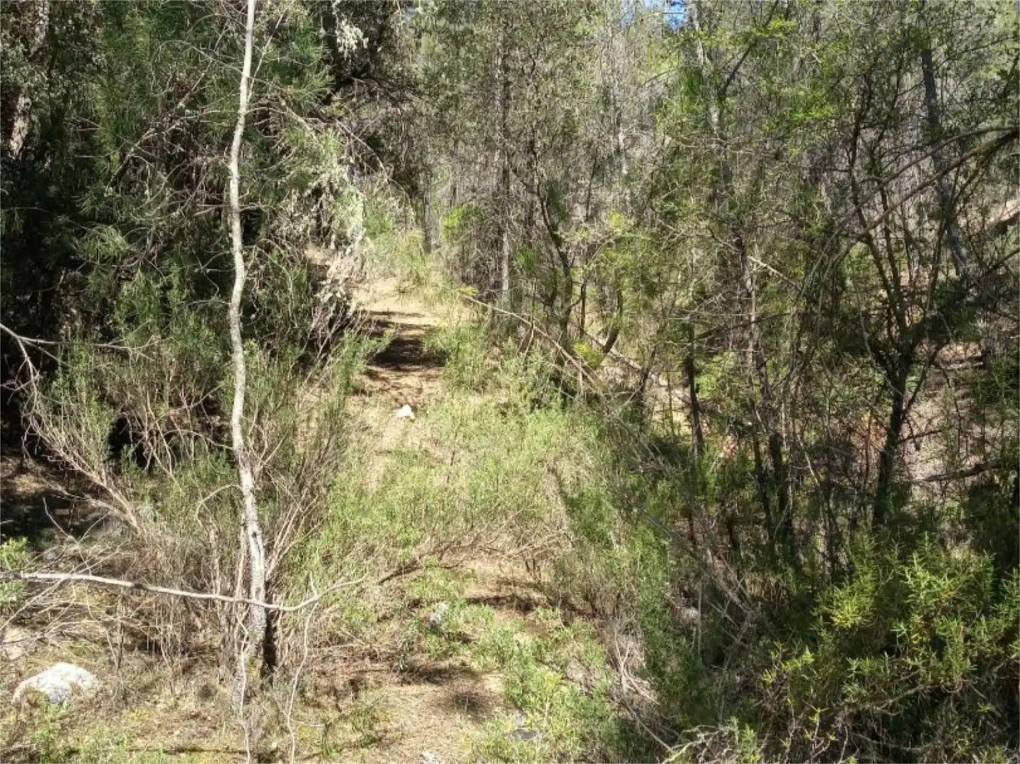 Non-constructible Land for sale in Alcantud Non-constructible Land for sale in Alcantud