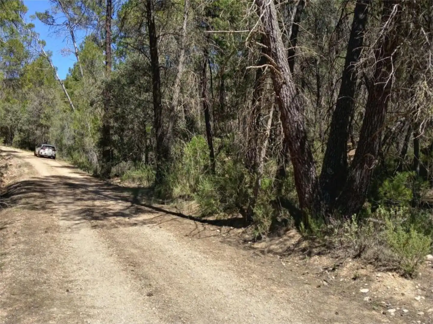 Non-constructible Land for sale in Alcantud Non-constructible Land for sale in Alcantud