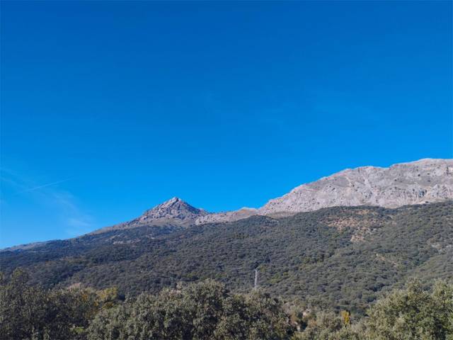 Terreno en Venta en Camino del Cementerio, 17 en Jimera de Líbar