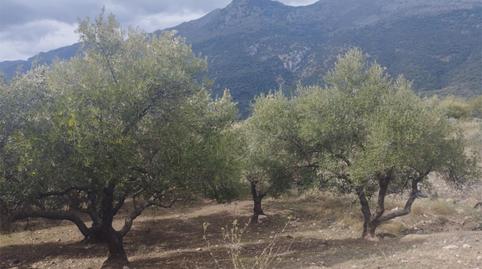 Foto 3 de Terreno en venta en Camino del Cementerio, 17, Jimera de Líbar, Málaga
