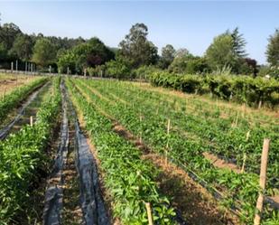 Garden of Land for sale in Ribadumia