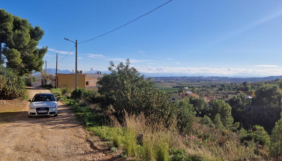 Urbanizable en venta en Urbanització Lloma Molina 14, 8, Catadau, Valencia - imagen 1 Foto 1 de Urbanizable en venta en Urbanització Lloma Molina 14, 8, Catadau, Valencia