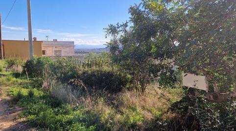 Urbanizable en venta en Urbanització Lloma Molina 14, 8, Catadau, Valencia - imagen 3 Foto 3 de Urbanizable en venta en Urbanització Lloma Molina 14, 8, Catadau, Valencia