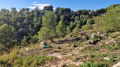 Urbanizable en venta en Urbanització Lloma Molina 14, 8, Catadau, Valencia - imagen 5 Foto 5 de Urbanizable en venta en Urbanització Lloma Molina 14, 8, Catadau, Valencia